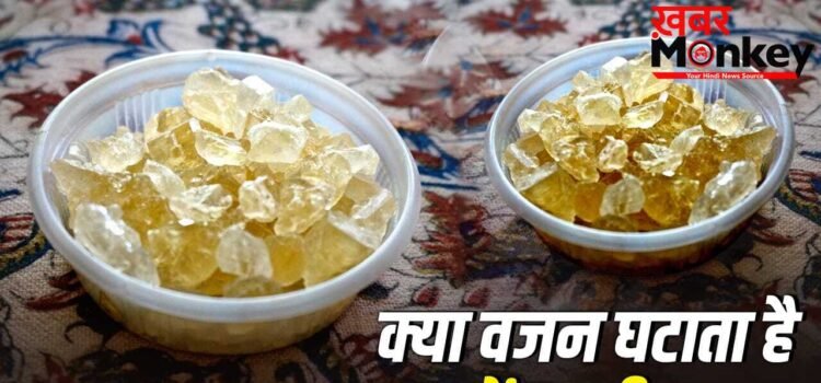 Gond Katira for Weight Loss: क्या वजन घटाने में मदद करता है गोंद कतीरा, जानें ये कैसे करता है काम