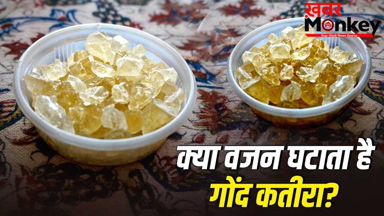 Gond Katira for Weight Loss: क्या वजन घटाने में मदद करता है गोंद कतीरा, जानें ये कैसे करता है काम