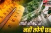 नौतपा में नहीं तपेगी छत…कमरा रहेगा ठंडा, बस फॉलो कर लें ये आसान तरीके