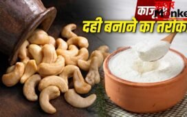 How To Make Cashew Curd: काजू से बनाएं दही, दूध से एलर्जी और वीगन वालों के लिए बेस्ट, जानें इसे बनाने का आसान तरीका