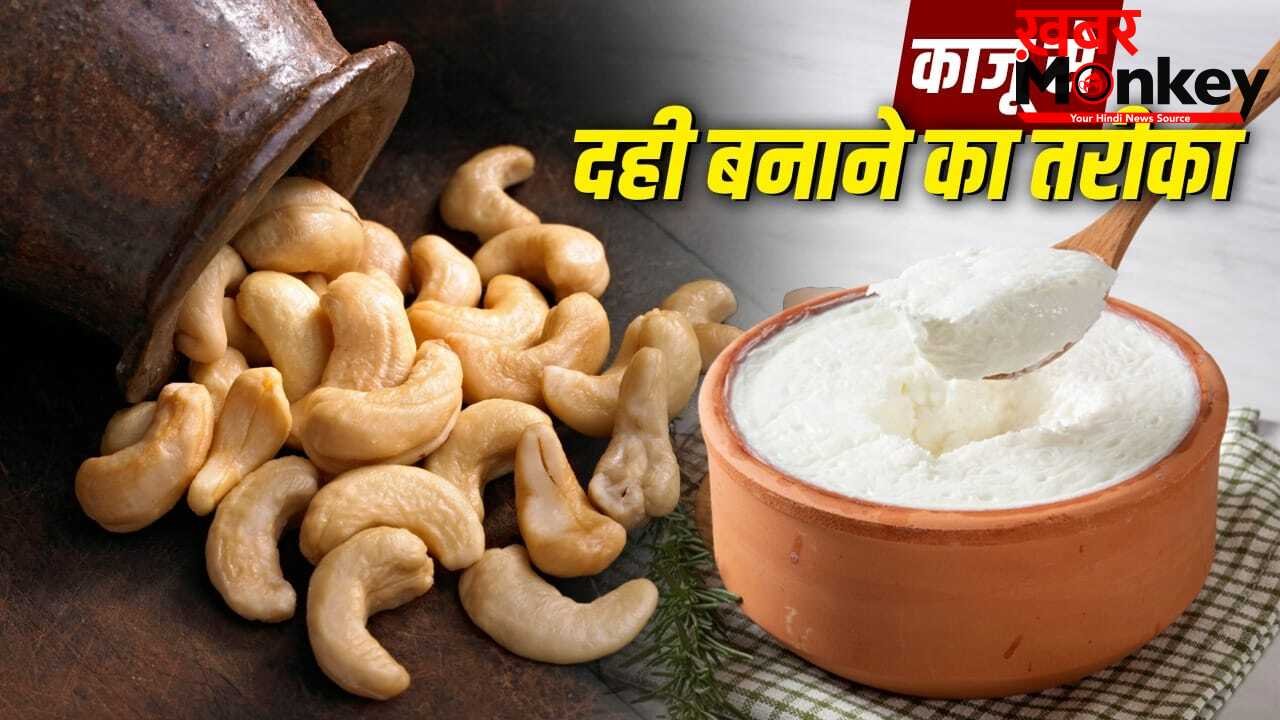 How To Make Cashew Curd: काजू से बनाएं दही, दूध से एलर्जी और वीगन वालों के लिए बेस्ट, जानें इसे बनाने का आसान तरीका