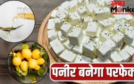 सॉफ्ट बनेगा पनीर… फिटकरी, नींबू, विनेगर, इसे बनाने के लिए किसे, कितनी मात्रा में लें?