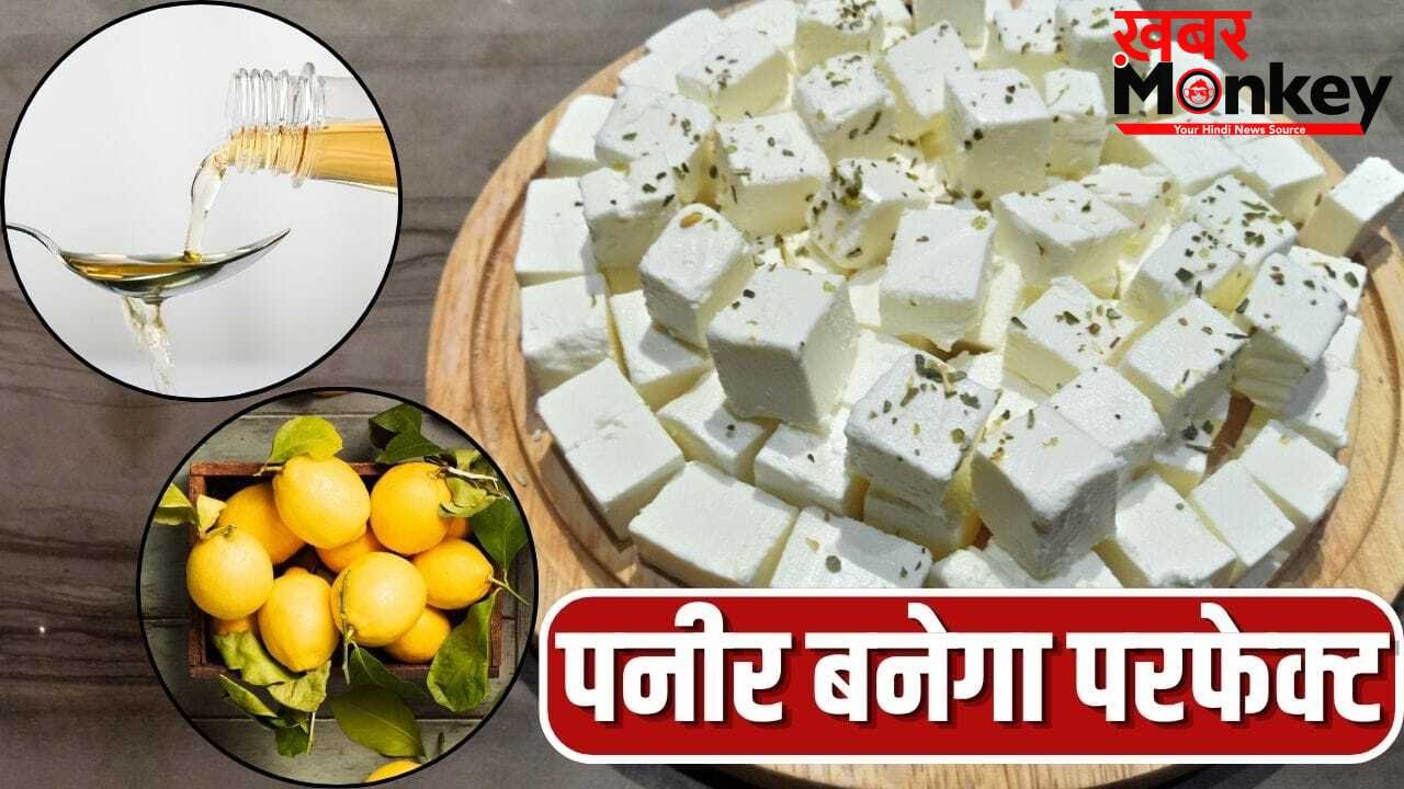 सॉफ्ट बनेगा पनीर… फिटकरी, नींबू, विनेगर, इसे बनाने के लिए किसे, कितनी मात्रा में लें?
