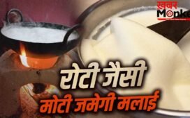 दूध पर जमेगी मोटी मलाई! देसी घी निकलेगा ढेर सारा…फॉलो करें ये टिप्स