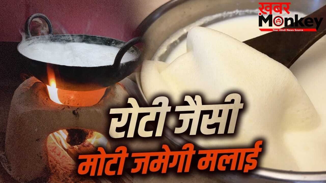 दूध पर जमेगी मोटी मलाई! देसी घी निकलेगा ढेर सारा…फॉलो करें ये टिप्स