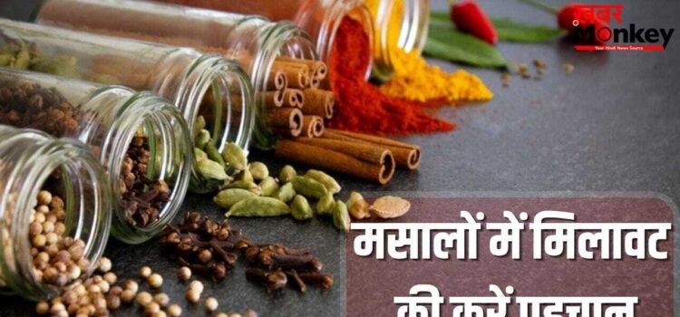 Spice Adulteration: हेल्दी रहना है तो रसोई से करें शुरुआत, धनिया से सेंधा नमक तक…ऐसे पकड़े मिलावट