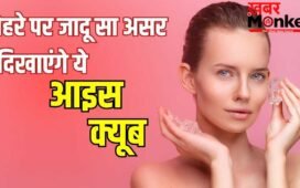 गुलाबों सा निखार, मक्खन सा मुलायम चेहरा…गर्मी में लगाएं ये 5 तरह के आइस क्यूब