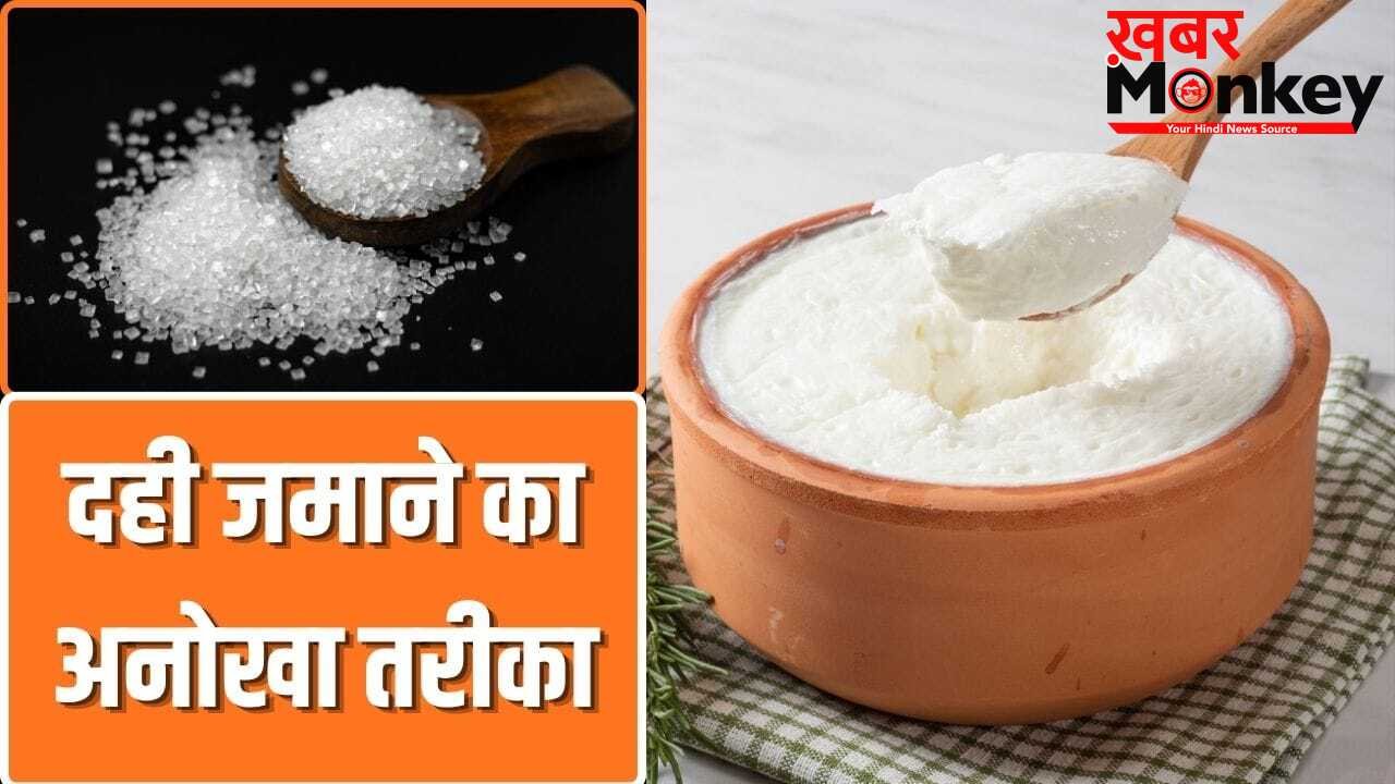 क्या दूध में चीनी मिलाकर दही जमाने से वो जल्दी खट्टा नहीं होता है?