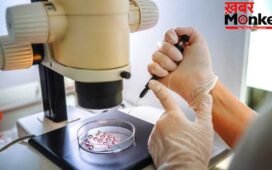 क्या IVF से बच्चे का लिंग चयन करना संभव है? जानिए नियम, एक्सपर्ट्स की राय