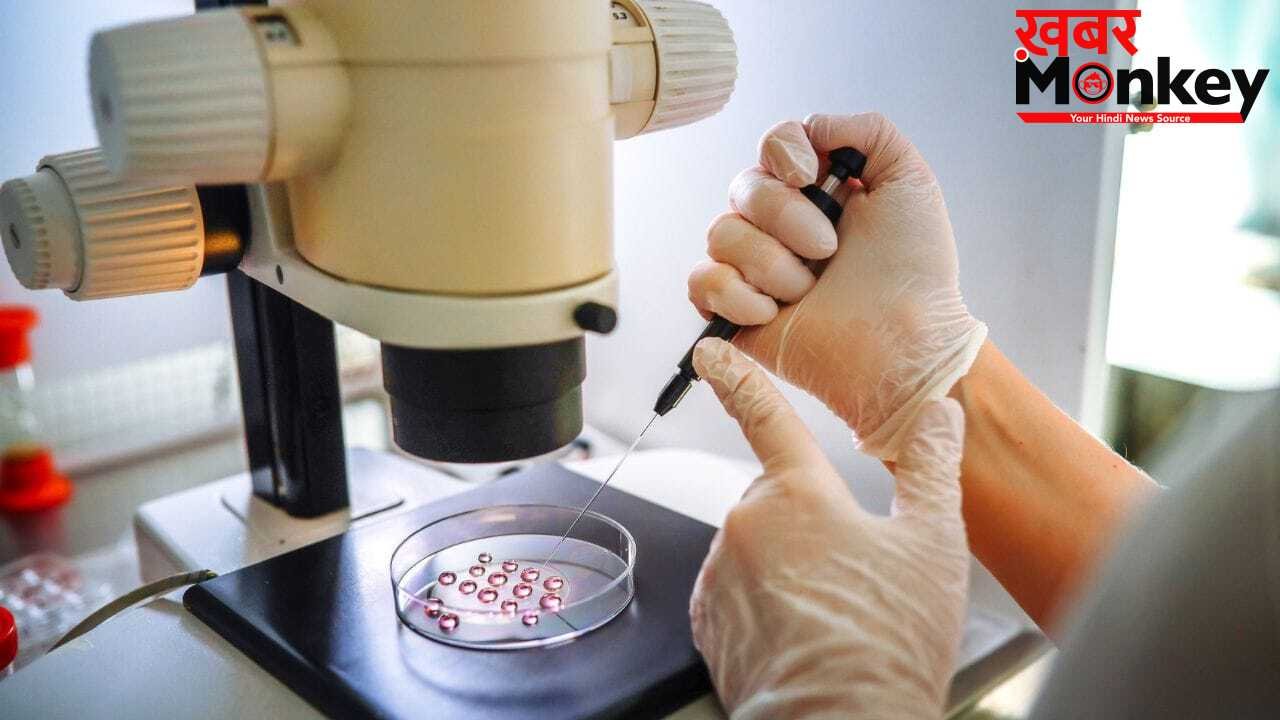क्या IVF से बच्चे का लिंग चयन करना संभव है? जानिए नियम, एक्सपर्ट्स की राय