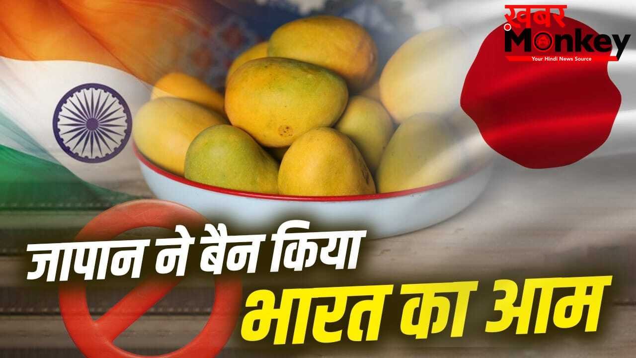 Mango Export: भारत का कौन सा आम सबसे ज्यादा खाते हैं जापान के लोग? जिस पर लगा बैन