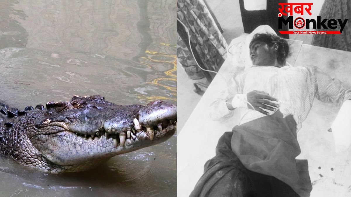 भतीजी के लिए मगरमच्छ पर टूट पड़ीं चाची, जबड़े में दबोचने के बाद भी दरांती से ताबड़तोड़ वार कर ऐसे बचा ली जान