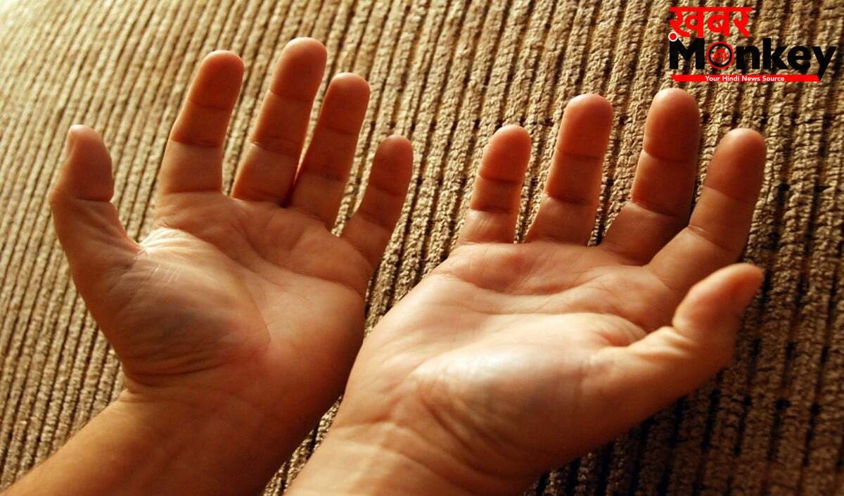 Ketu Parvat In Palmistry: अपनी हथेली में अभी देखें केतु पर्वत, जानें किस्मत में Success है या संघर्ष