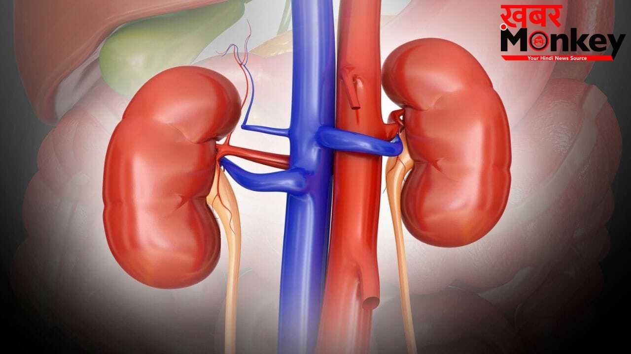 क्या हाई बीपी और डायबिटीज किडनी को नुकसान पहुंचा सकते हैं?
