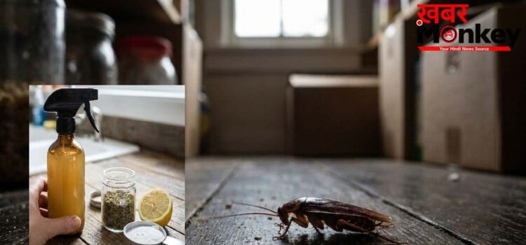घर में बनाएं देसी Cockroach Killer, ये DIY Hack करेगा कॉकरोच की पूरी पलटन का सफाया