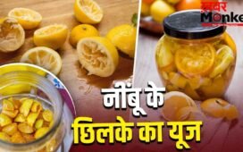 Lemon Peel Pickle: बड़े काम के हैं नींबू के छिलके, इससे बना लें ये टेस्टी अचार