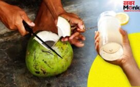 Lemonade vs Coconut Water: नींबू की शिकंजी या कोकोनट वाटर, गर्मी में लू से बचाव के लिए क्या है बेहतर