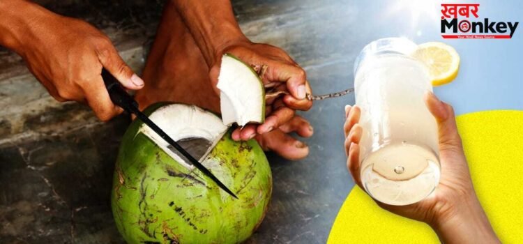 Lemonade vs Coconut Water: नींबू की शिकंजी या कोकोनट वाटर, गर्मी में लू से बचाव के लिए क्या है बेहतर