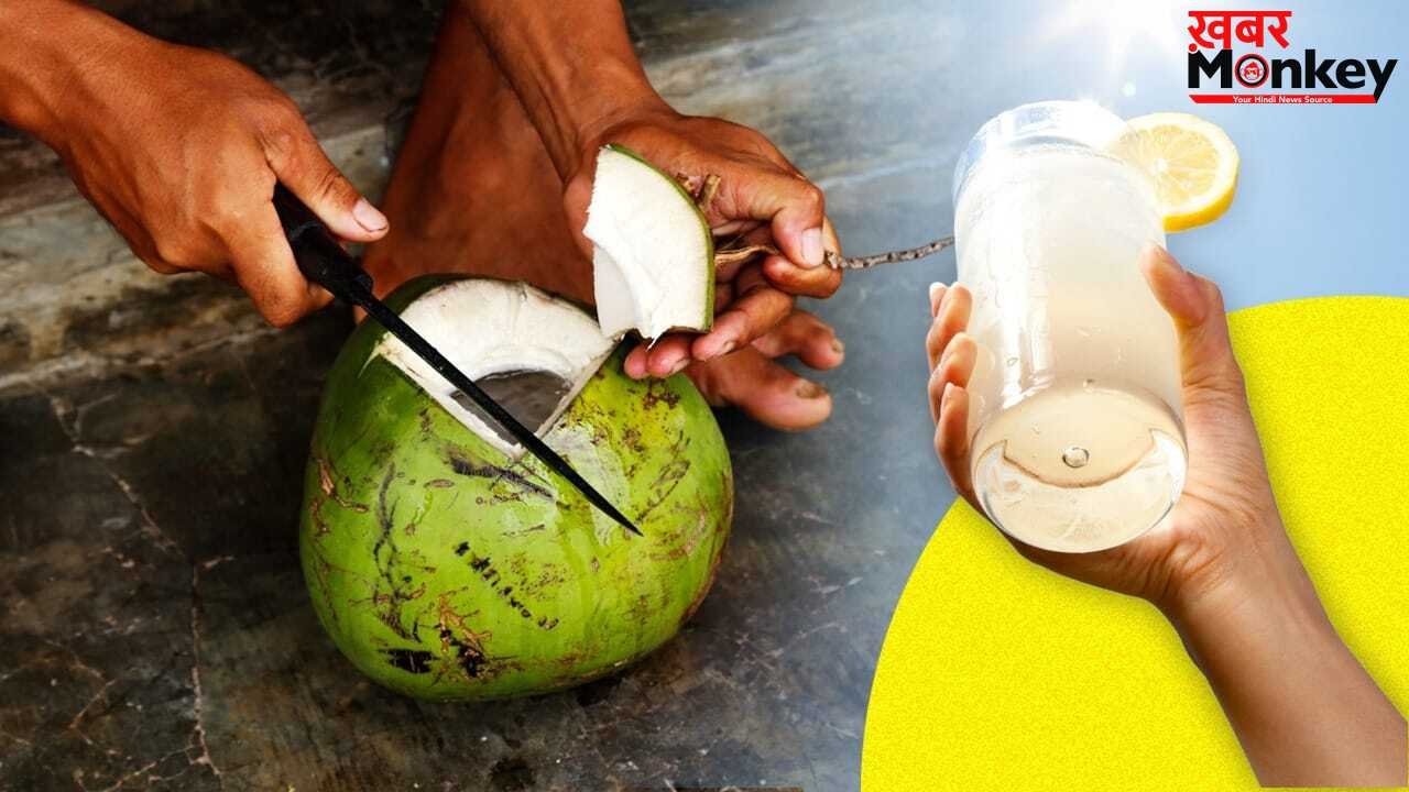 Lemonade vs Coconut Water: नींबू की शिकंजी या कोकोनट वाटर, गर्मी में लू से बचाव के लिए क्या है बेहतर