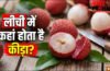 लीची में कीड़ा कहां छुपा होता है, खाने से पहले जान लें पहचान लें लीची में कीड़ा कहां छुपा होता है, खाने से पहले जान लें पहचान लें