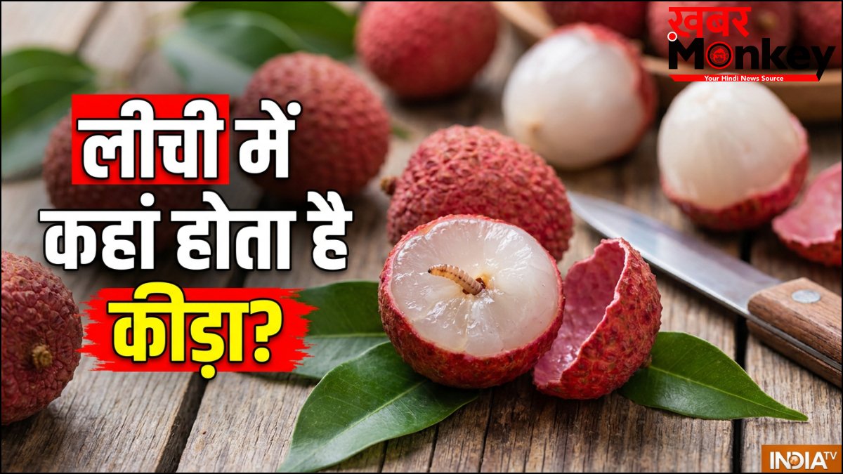 लीची में कीड़ा कहां छुपा होता है, खाने से पहले जान लें पहचान लें