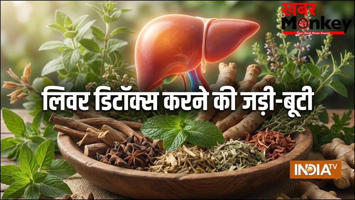 लिवर डिटॉक्स के लिए क्यों बेस्ट है मई का महीना, शरीर से सारा ज़हरीला पदार्थ बाहर निकल जाएगा, करें ये उपाय