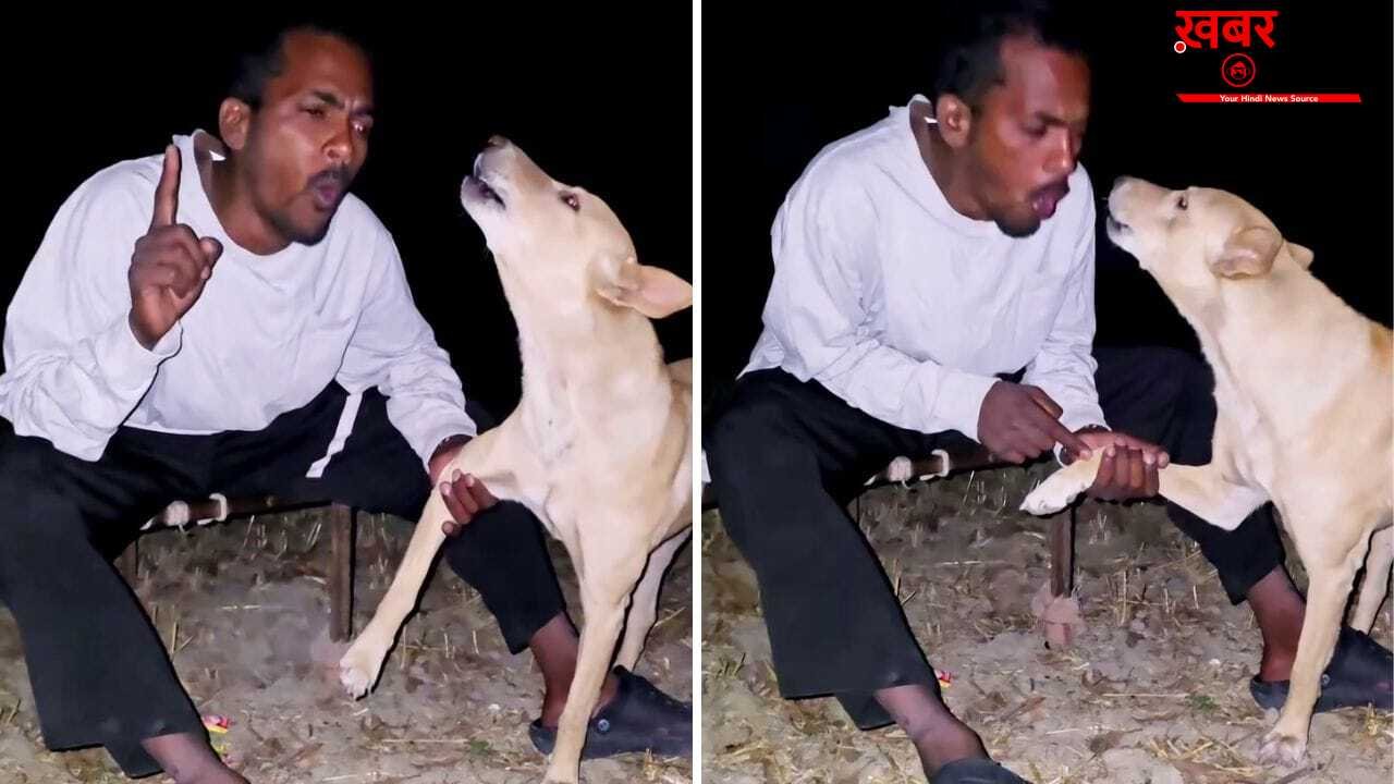 Viral Video: दुख ऐसा कि कुत्ता भी रो पड़ा! शख्स की डॉगी स्टाइल वाली ‘कन्फेशन’ ने इंटरनेट पर मचाया गदर; देखें वीडियो