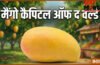 ‘मैंगो कैपिटल ऑफ द वर्ल्ड’ किस देश के कौन से शहर को कहा जाता है, दुनिया में धूम मचाते हैं यहां के आम ‘मैंगो कैपिटल ऑफ द वर्ल्ड’ किस देश के कौन से शहर को कहा जाता है, दुनिया में धूम मचाते हैं यहां के आम
