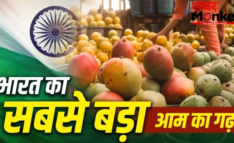 Mango Capital Of The World: न वाराणसी, न महाराष्ट्र…भारत में कहां है आमों का गढ़? हजारों एकड़ में फैले हैं बाग Mango Capital Of The World: न वाराणसी, न महाराष्ट्र…भारत में कहां है आमों का गढ़? हजारों एकड़ में फैले हैं बाग