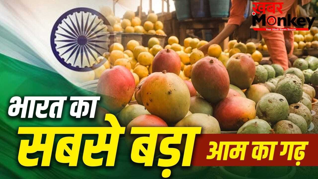 Mango Capital Of The World: न वाराणसी, न महाराष्ट्र…भारत में कहां है आमों का गढ़? हजारों एकड़ में फैले हैं बाग