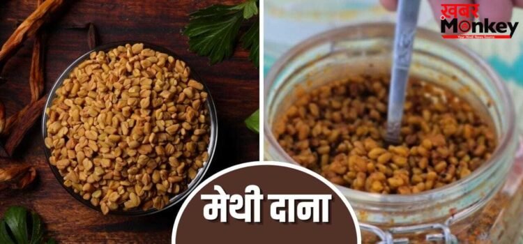 Methi Dana Achar Recipe: पेट में नहीं बनेगी गैस, मरोड़ की होगी छुट्टी…मेथी दाना का अचार रोज 1 चम्मच खाएं, नोट करें रेसिपी