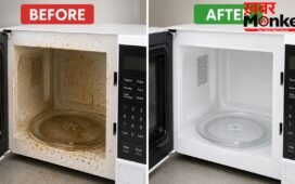 क्लीनर की नहीं पड़ेगी जरूरत, Microwave को साफ करने के लिए अपनाएं यह 1 तरीका, बरतें ये सावधानियां