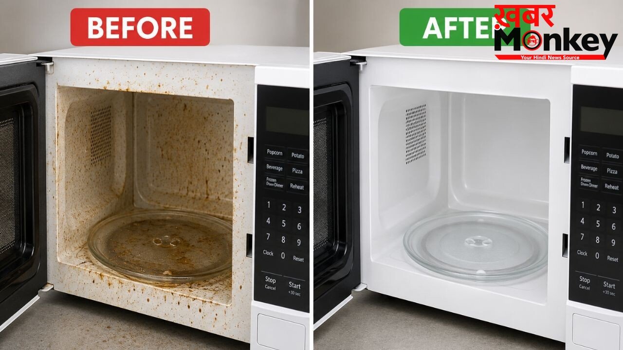 क्लीनर की नहीं पड़ेगी जरूरत, Microwave को साफ करने के लिए अपनाएं यह 1 तरीका, बरतें ये सावधानियां