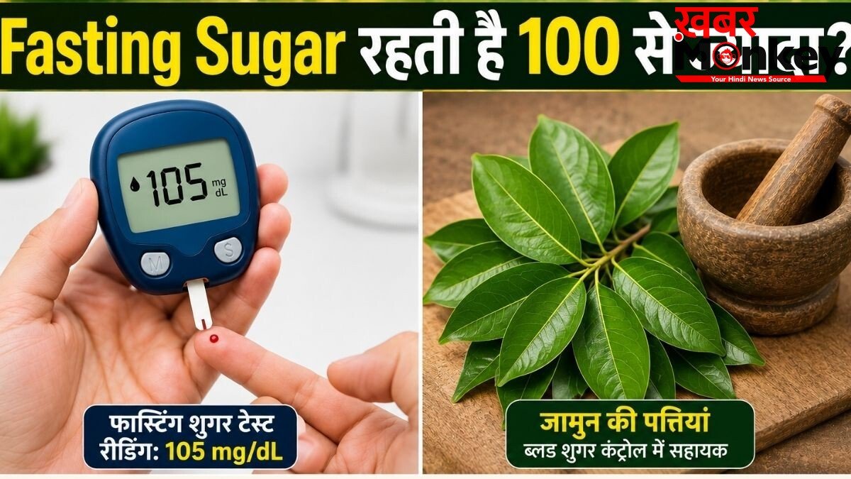 खाली पेट ब्लड शुगर 100 MG/DL से ज्यादा रहती है तो जामुन की पत्तियां चबाएं, आयुर्वेद विशेषज्ञ से जानिए शुगर कंट्रोल में कैसे मददगार हैं ये लीव्स