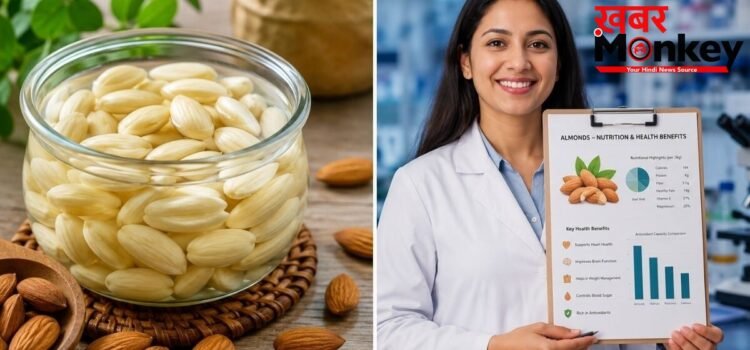 रोजाना बादाम खाने से सुधर सकती है गट हेल्थ, मेटाबॉलिज्म में होगा सुधार और घट सकता है मोटापा, जानिए वैज्ञानिक रिसर्च रोजाना बादाम खाने से सुधर सकती है गट हेल्थ, मेटाबॉलिज्म में होगा सुधार और घट सकता है मोटापा, जानिए वैज्ञानिक रिसर्च