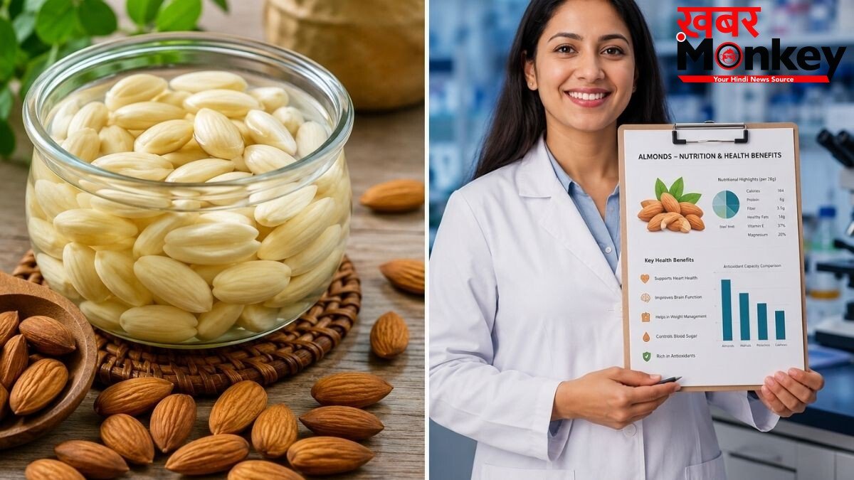 रोजाना बादाम खाने से सुधर सकती है गट हेल्थ, मेटाबॉलिज्म में होगा सुधार और घट सकता है मोटापा, जानिए वैज्ञानिक रिसर्च