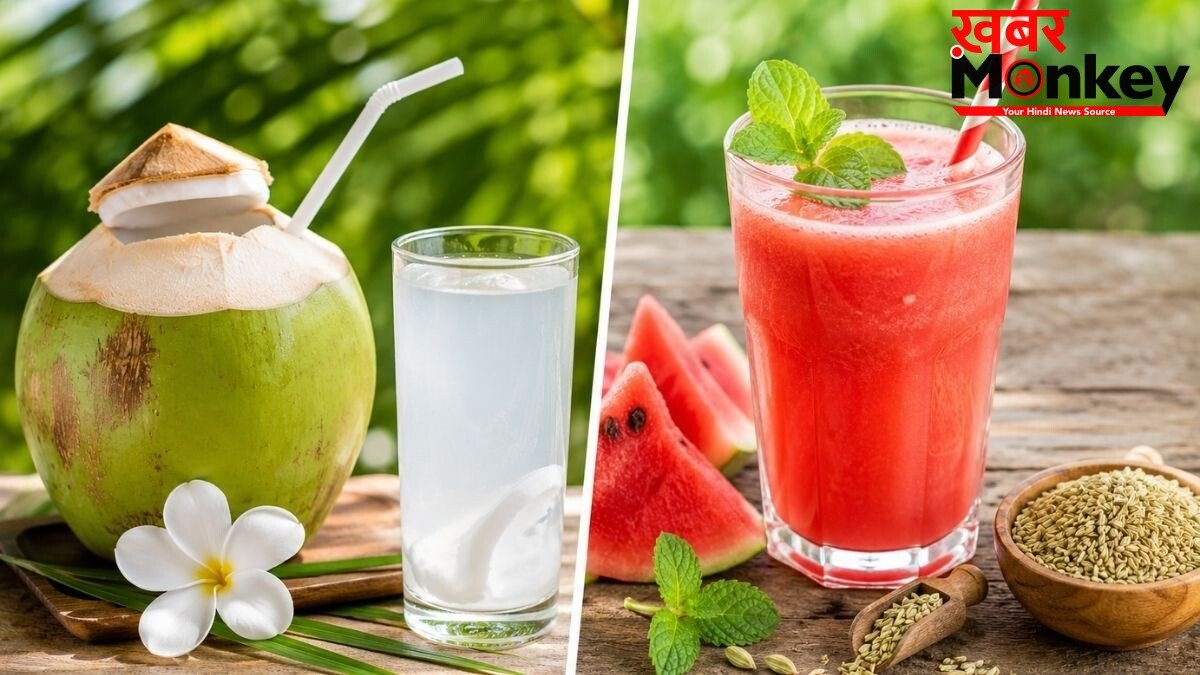 Summer Morning Drinks: गर्मियों में भूख को कंट्रोल रखेंगे ये 5 मॉर्निंग ड्रिंक्स, दिनभर रहेंगे एनर्जेटिक; डायटीशियन से जानिए बनाने का तरीका
