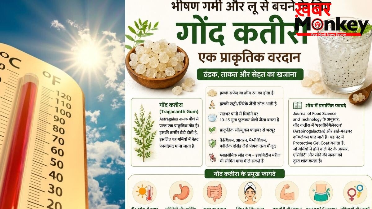 गर्मियों का ‘अमृत’ है गोंद कतीरा, लेकिन क्या आप भी कर रहे हैं ये बड़ी भूल? एक्सपर्ट से जानिए सही तरीका और फायदे
