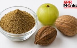 पुरानी कब्ज और पेट की गंदगी होगी साफा! बाबा रामदेव ने बताया त्रिफला चूर्ण खाने का सही आयुर्वेदिक नियम; होगी आंतों की सफाई
