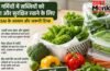 Vegetable Storage Tips: गर्मियों में सब्जियों को लम्बे समय तक ताजा रखने के लिए FSSAI ने बताए कुछ गोल्डन रूल्स, आप भी जानें Vegetable Storage Tips: गर्मियों में सब्जियों को लम्बे समय तक ताजा रखने के लिए FSSAI ने बताए कुछ गोल्डन रूल्स, आप भी जानें