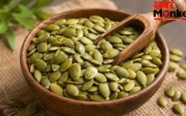 Summer Diet: क्या गर्मियों में कद्दू के बीज (Pumpkin Seeds) खाना सुरक्षित है? वैलनेस एक्सपर्ट हंसाजी योगेंद्र से जानिए सही नियम और तरीके