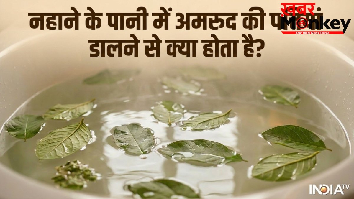 नहाने के पानी में अमरूद की पत्तियां डालने से क्या होता है, जानें फायदे और इस्तेमाल का सही तरीका