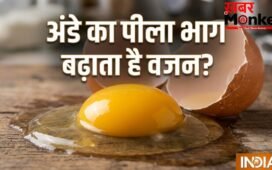 क्या अंडे का पीला भाग खाने से सच में बढ़ता है वजन? जानें क्या कहते हैं एक्सपर्ट?