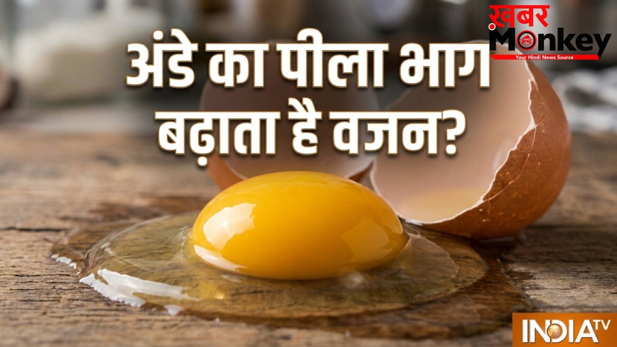 क्या अंडे का पीला भाग खाने से सच में बढ़ता है वजन? जानें क्या कहते हैं एक्सपर्ट?