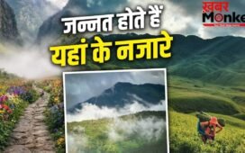 Monsoon Travel Destination: खिले-खिले फूल, आसमान में फैली धुंध…मानसून के बाद स्वर्ग जैसी दिखने लगती हैं भारत की ये जगहें