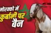Eid-Ul-Adha 2026: जिस मोरक्को में 99% मुस्लिम आबादी, वहां कुर्बानी पर बैन क्यों लगा था?
