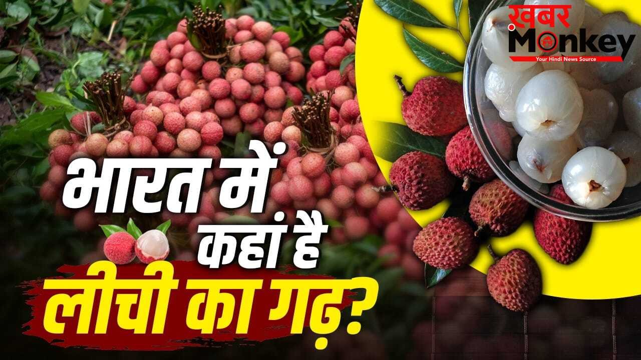न कश्मीर, न हिमाचल…भारत में लीची का गढ़ है ये जगह, यहां पहुंचना भी आसान