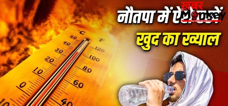 Nautapa Tips: नौतपा में कैसे रखें सेहत और स्किन का ख्याल? जानें क्या खाएं और क्या पहनें Nautapa Tips: नौतपा में कैसे रखें सेहत और स्किन का ख्याल? जानें क्या खाएं और क्या पहनें