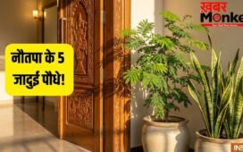 Garmi Ke Lucky Paudhe: नौतपा में घर ले आएं ये 5 जादुई पौधे, कड़कती धूप में भी बरसेगा पैसा!