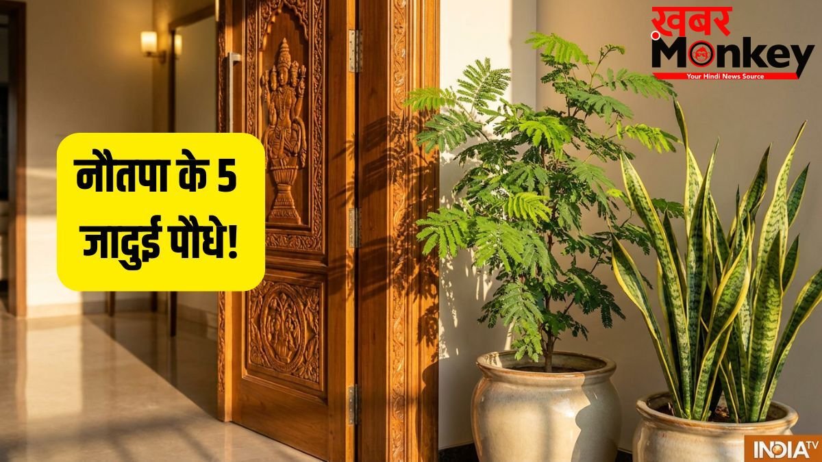 Garmi Ke Lucky Paudhe: नौतपा में घर ले आएं ये 5 जादुई पौधे, कड़कती धूप में भी बरसेगा पैसा!